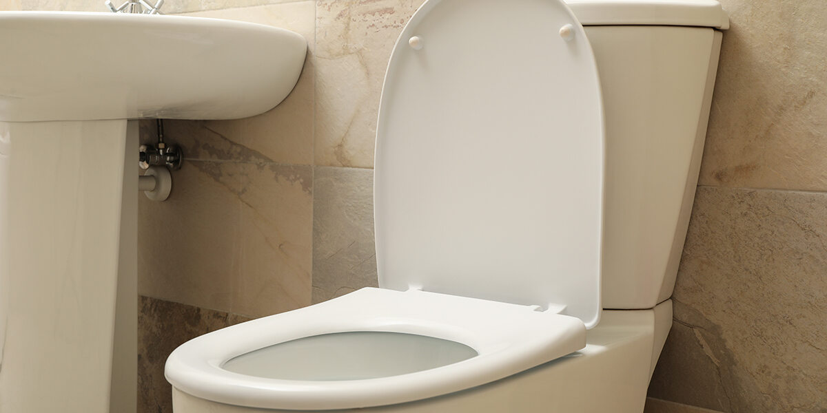 Why Is My Toilet Making Noise?