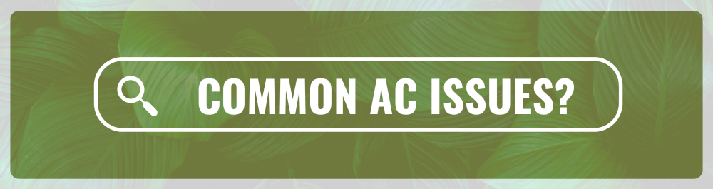 Common AC issues are overheating, dust and debris build-up, refrigerant leaks, high energy bills, and compressor failures.