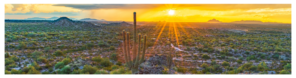 Phoenix sunset highlights energy efficiency: Golden rays sweep across the desert landscape, reflecting the impact of SEER ratings on cooling comfort in Arizona’s heat.